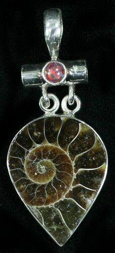 Fossil Ammonite Pendant - Sterling Silver #12059